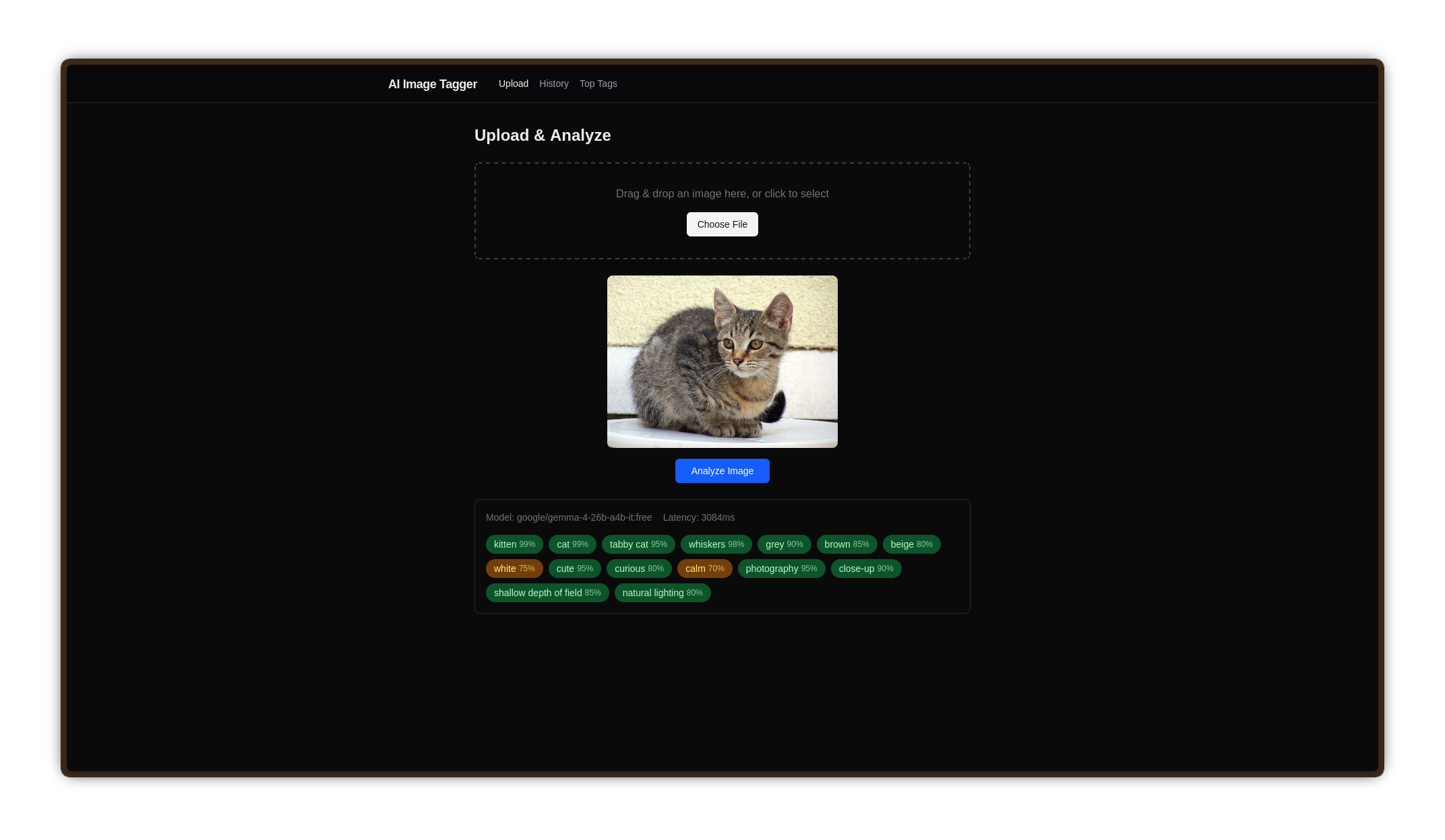 Interface upload & analyse
