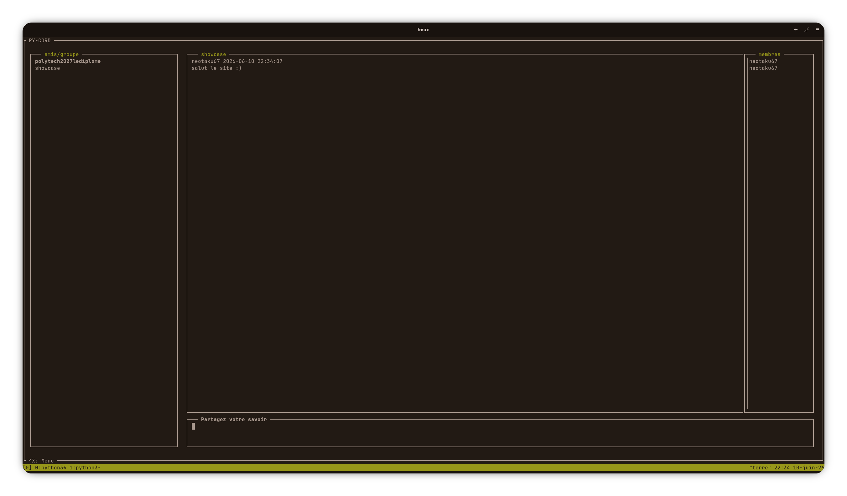 Interface de chat TUI